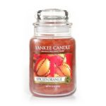 ORANGE EPICE