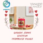 Grande jarre senteur FRAMBOISE ROUGE