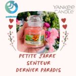 Yankee Candle dernier paradis petite