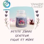 Yankee Candle figue et mure petite