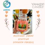 yankee candle moyenne jar dernier paradis